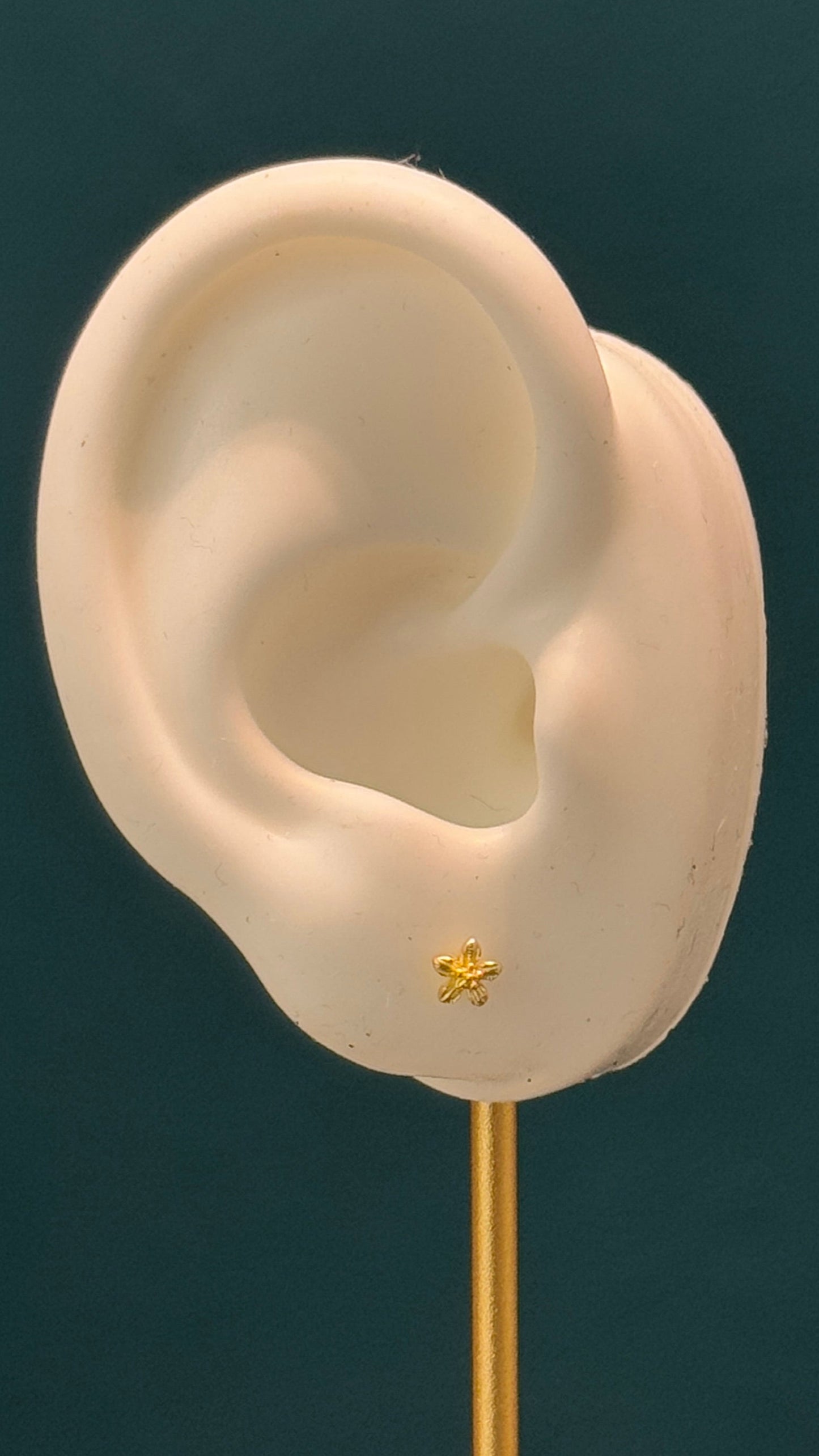 topos estrella / 0.6 gr