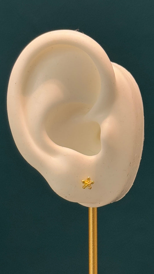 topos estrella / 0.6 gr